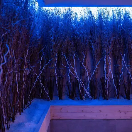 فندق One Wellness & 4*