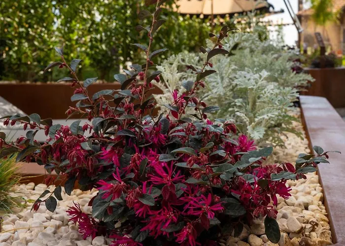 One Wellness & Otel Katanya